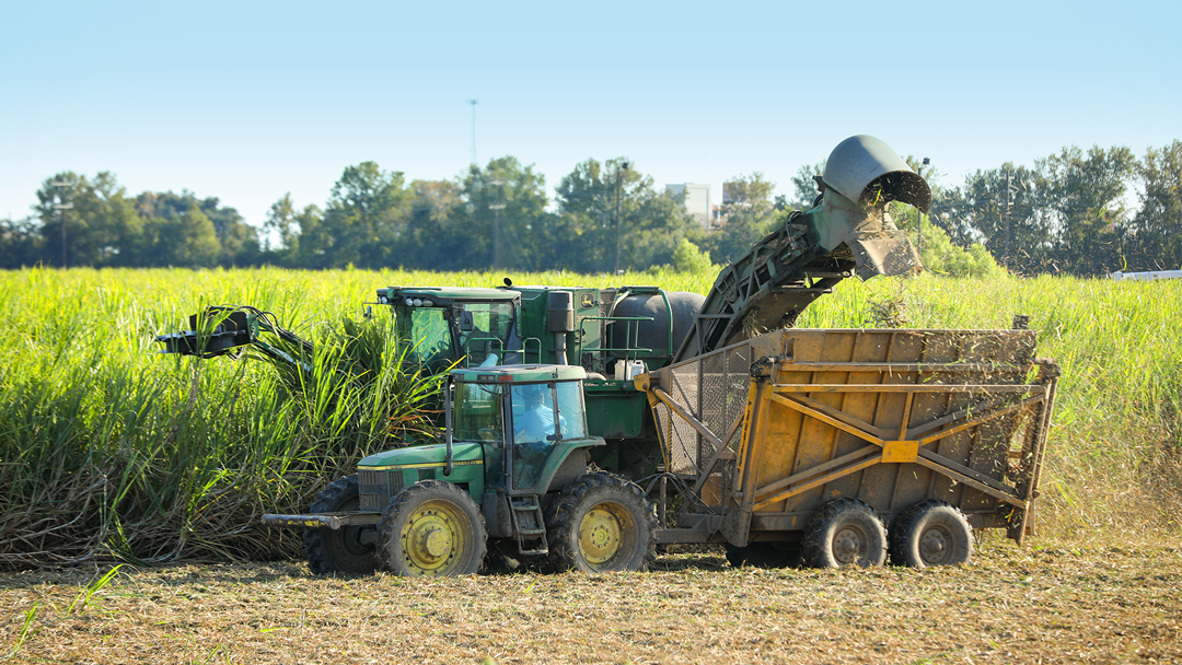 St. Mary Sugar Cooperative