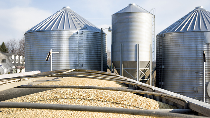 A large load of harvested soybeans in an open railcar with several metal grain silos in the background.